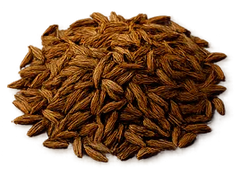 Alcaravea