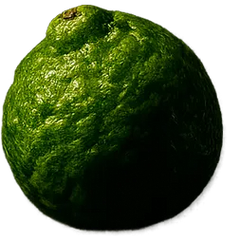 Bergamota