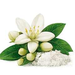 Flor de Azahar