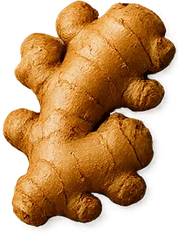 Jengibre