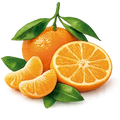 Mandarina
