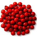 Pimienta rosa
