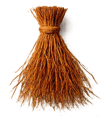Vetiver de haití