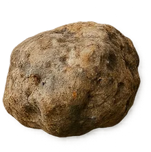 Ámbar gris