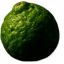 Bergamota