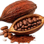 Cacao
