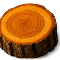 Cedro