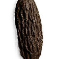 Haba tonka
