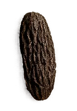Haba tonka