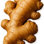 Jengibre