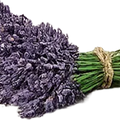 Lavanda negra