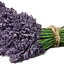 Lavanda negra