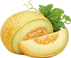 Melón