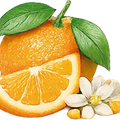 Naranja amarga