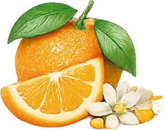 Naranja amarga