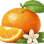 Naranja
