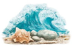 Notas marinas