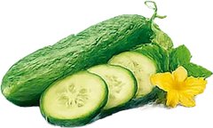 Pepino