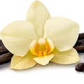 Vainilla