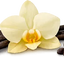 Vainilla