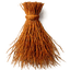 Vetiver de haití